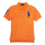 Polo T Shirt with Embroidery